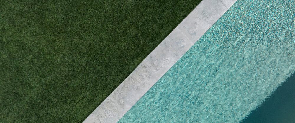 Lawn fungus: prevention and control basics