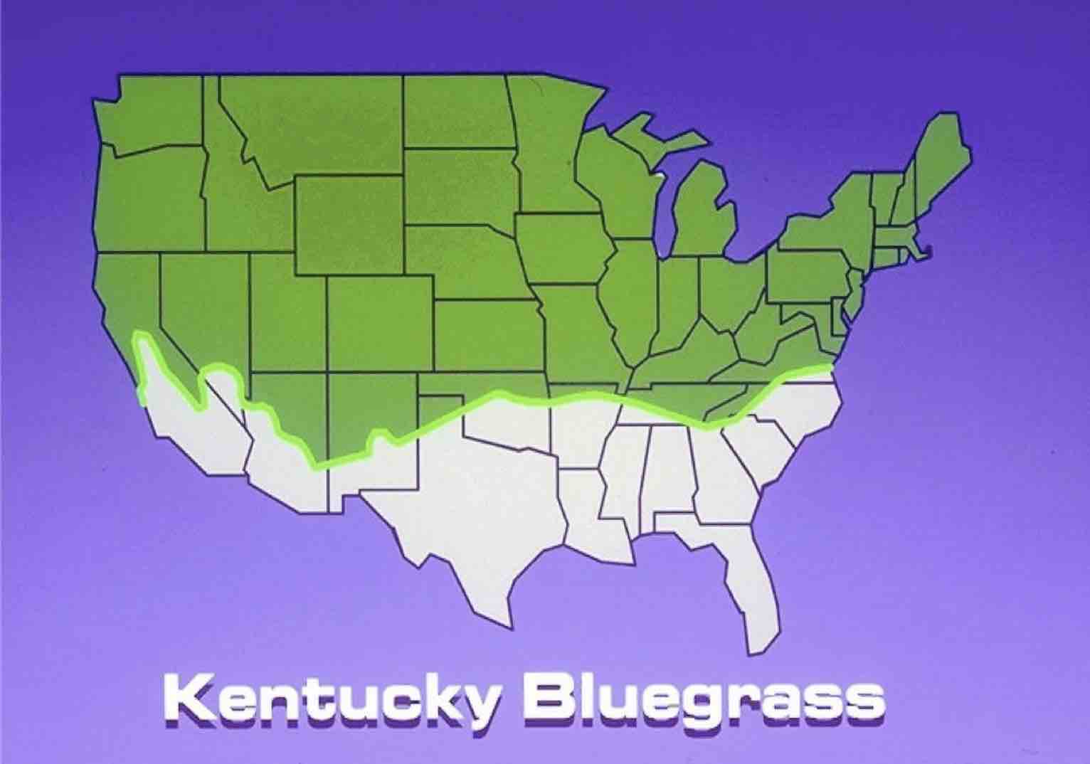 US map shaded green where Kentucky bluegrass is commonly used for lawns.