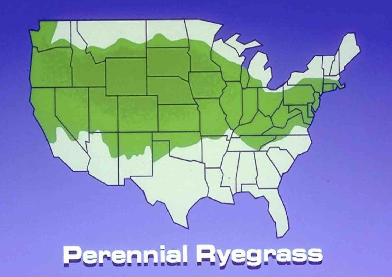 US map with a broad green band for perennial ryegrass suitability across cool and transition regions.