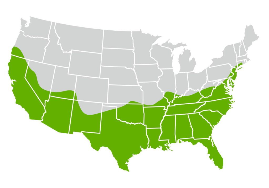 United States map with southern and coastal regions shaded for warm-season grass suitability.